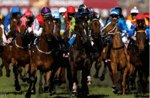 betting game - horse racing